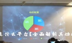 CG钱包是什么平台？全面解