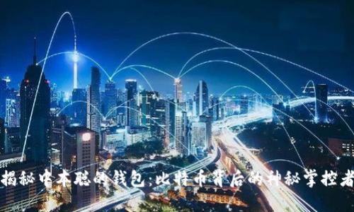揭秘中本聪的钱包:比特币背后的神秘掌控者