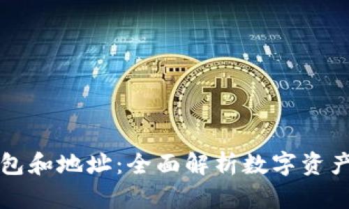 区块链钱包和地址：全面解析数字资产管理工具
