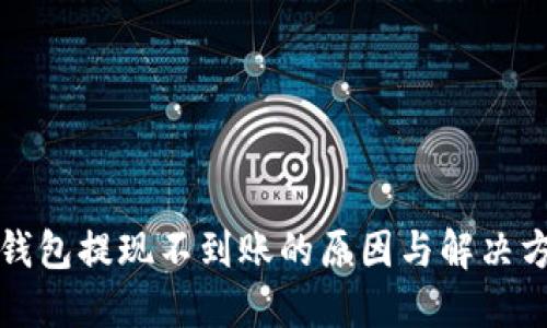 冷钱包提现不到账的原因与解决方法