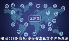 全面解析DSE冷钱包：安全