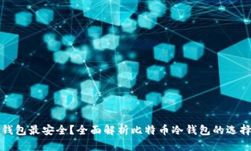 哪个冷钱包最安全？全面解析比特币冷钱包的选择与使用