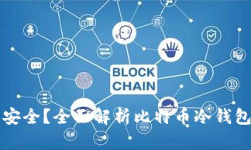 哪个冷钱包最安全？全面解析比特币冷钱包的选择与使用
