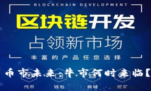 币市未来：牛市何时来临？