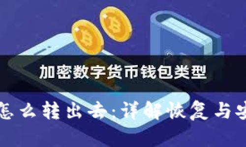 冷钱包忘了币怎么转出去：详解恢复与安全转移的方法