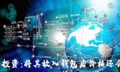   虚拟币投资：将其放入钱
