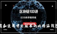 如何下载和使用中文版本
