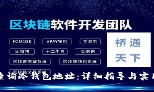 如何查询冷钱包地址：详细指导与实用技巧