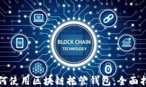 
如何使用区块链托管钱包：全面指南