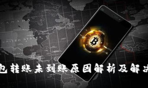 冷钱包转账未到账原因解析及解决方案