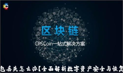 
冷钱包丢失怎么办？全面解析数字资产安全与恢复方法