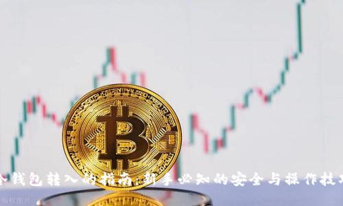 冷钱包转入的指南：新手必知的安全与操作技巧