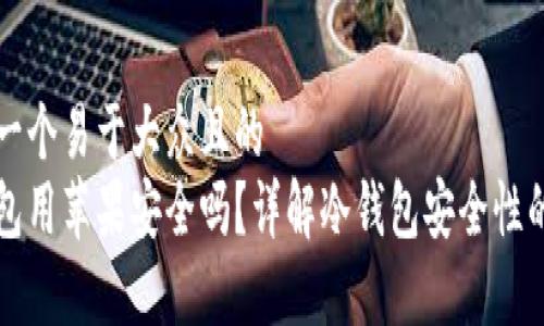 思考一个易于大众且的  
冷钱包用苹果安全吗？详解冷钱包安全性的真相