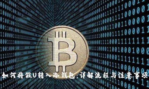 如何将假U转入冷钱包：详解流程与注意事项