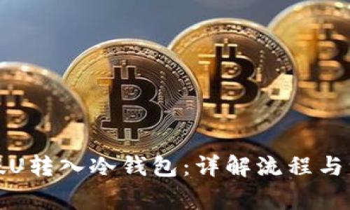 如何将假U转入冷钱包：详解流程与注意事项