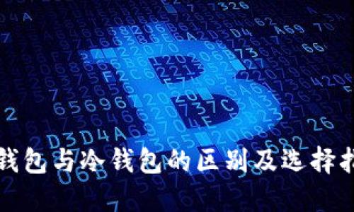 轻钱包与冷钱包的区别及选择指南