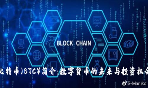 比特币（BTC）简介：数字货币的未来与投资机会