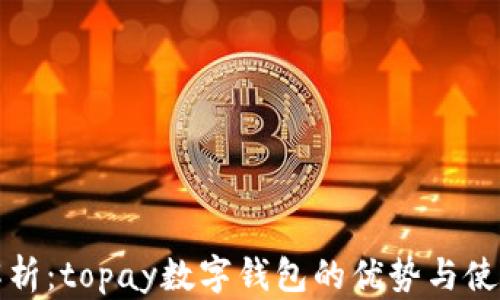 
全面解析：topay数字钱包的优势与使用指南