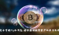 完全掌握Pig冷钱包：安全