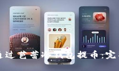 如何通过芭蕾冷钱包提币：完整指南