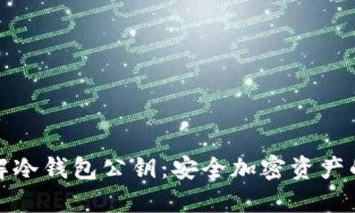 深入了解冷钱包公钥：安全加密资产的新选择