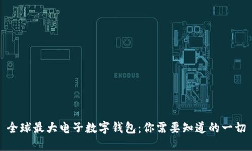 全球最大电子数字钱包：你需要知道的一切