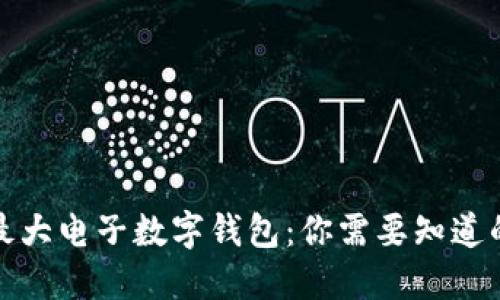 全球最大电子数字钱包：你需要知道的一切