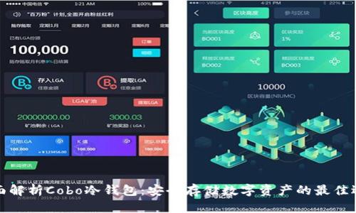 全面解析Cobo冷钱包：安全存储数字资产的最佳选择