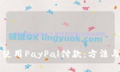 国内如何使用PayPal付款：