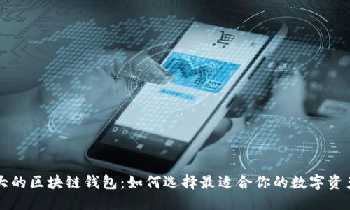 用户量最大的区块链钱包：如何选择最适合你的数字资产管理工具