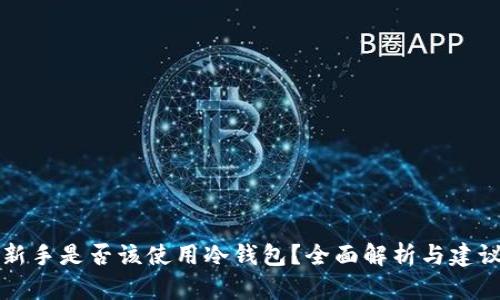 新手是否该使用冷钱包？全面解析与建议