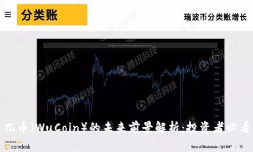 兀币（WuCoin）的未来前景解析：投资者必看