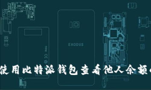 biaso如何使用比特派钱包查看他人余额的详细指南