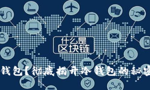 什么是BT冷钱包？彻底揭开冷钱包的秘密与使用指南