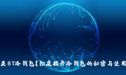 什么是BT冷钱包？彻底揭开冷钱包的秘密与使用指南