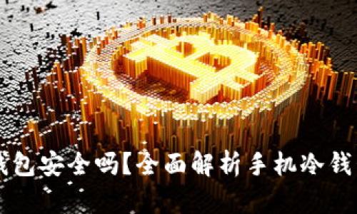 手机做冷钱包安全吗？全面解析手机冷钱包的安全性