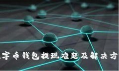 数字币钱包提现难题及解