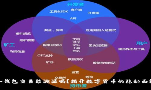 冷钱包交易能溯源吗？揭开数字货币的隐秘面纱