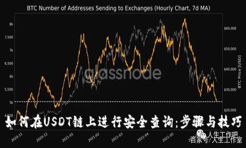 如何在USDT链上进行安全查询：步骤与技巧