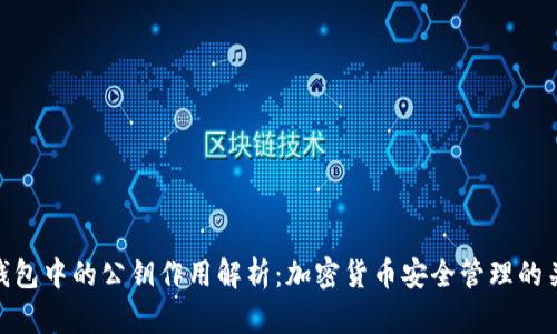 冷钱包中的公钥作用解析：加密货币安全管理的关键