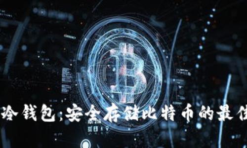BT C冷钱包：安全存储比特币的最佳选择