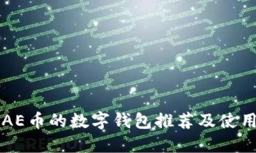 支持AE币的数字钱包推荐及使用指南