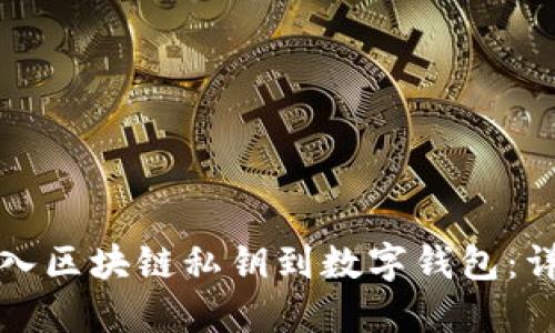 如何导入区块链私钥到数字钱包：详细指南