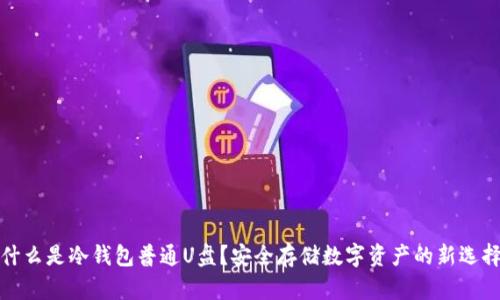 什么是冷钱包普通U盘？安全存储数字资产的新选择