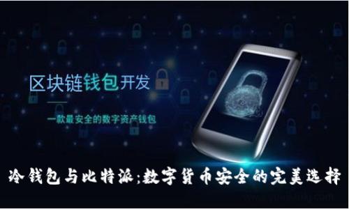 冷钱包与比特派：数字货币安全的完美选择