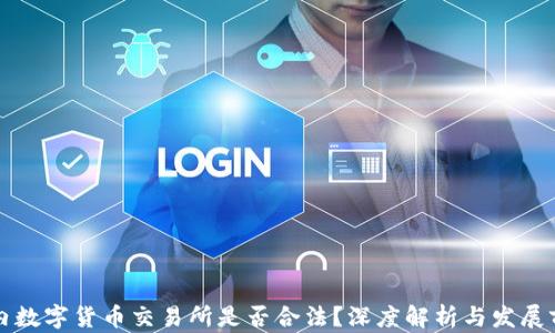 
国内数字货币交易所是否合法？深度解析与发展前景